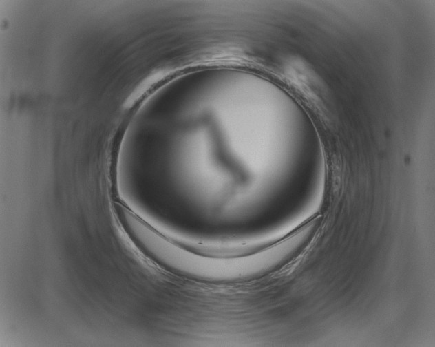 X0000087641422200705031459