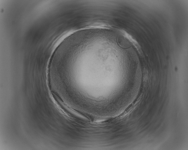 X0000087641423200705031459