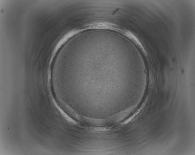 X0000087641424200705031459