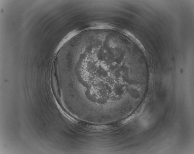 X0000087641425200705031459