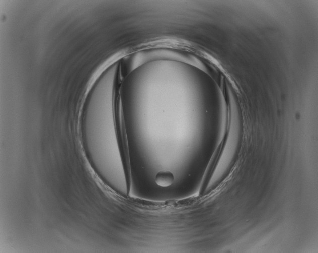 X0000087641426200705031459