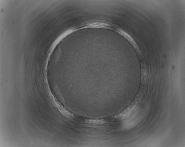 X0000087641427200705031459