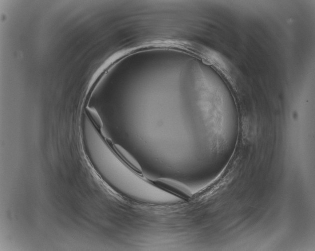 X0000087641428200705031459