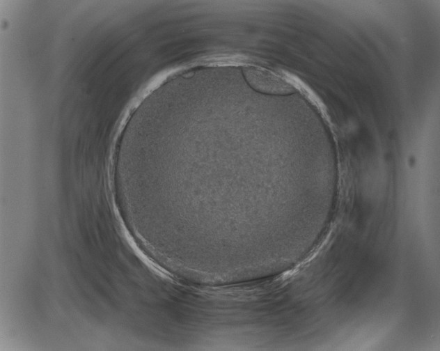 X0000087641429200705031459