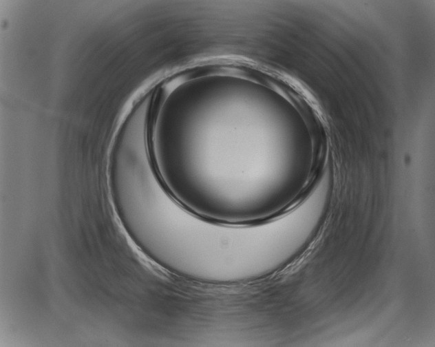 X0000087641430200705031459