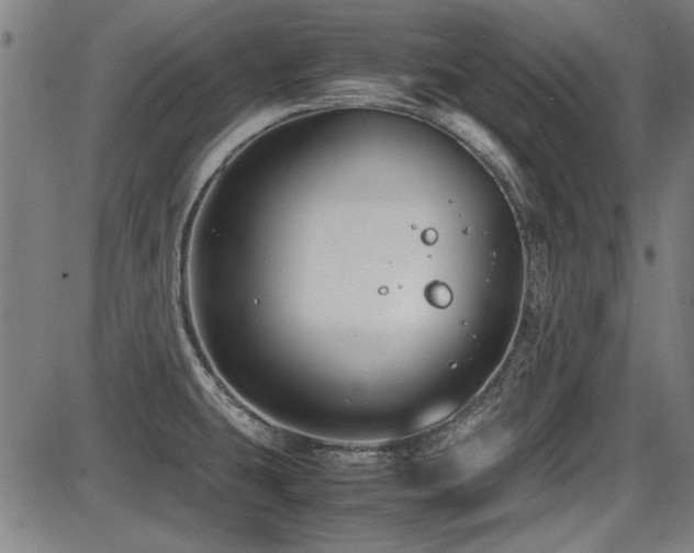 X0000087641431200705031459