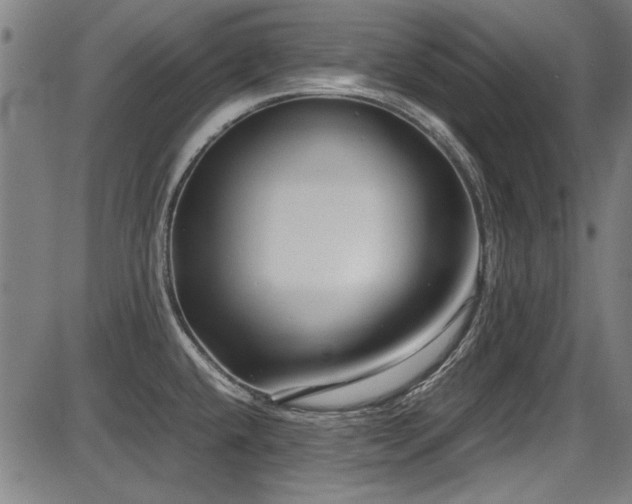 X0000087641432200705031459