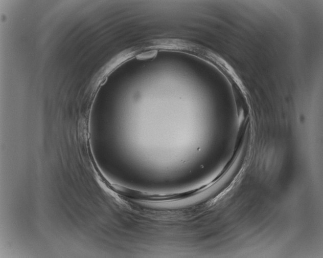 X0000087641433200705031459