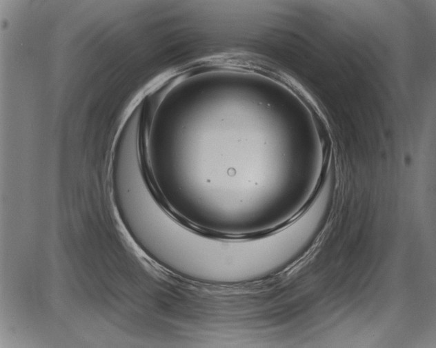 X0000087641434200705031459