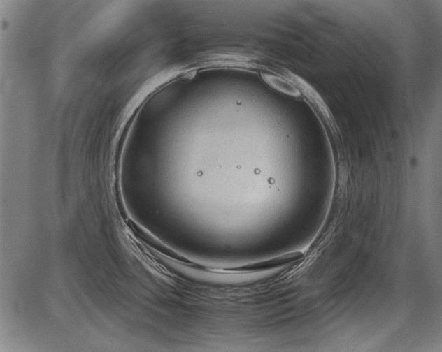 X0000087641435200705031459