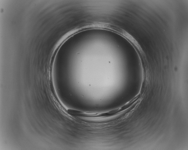 X0000087641436200705031459