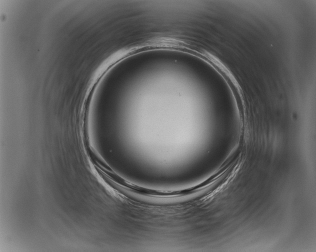 X0000087641437200705031459