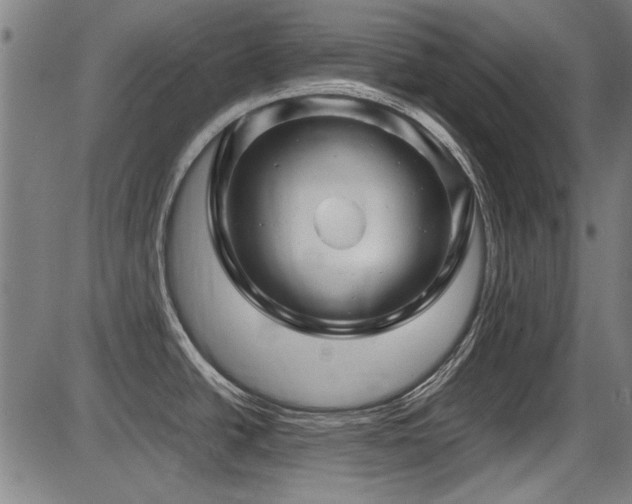 X0000087641438200705031459