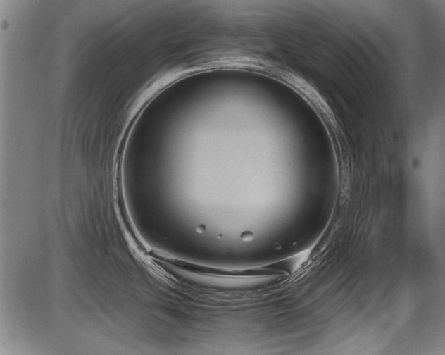 X0000087641439200705031459