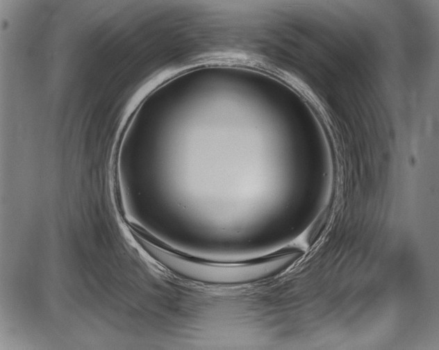 X0000087641440200705031459