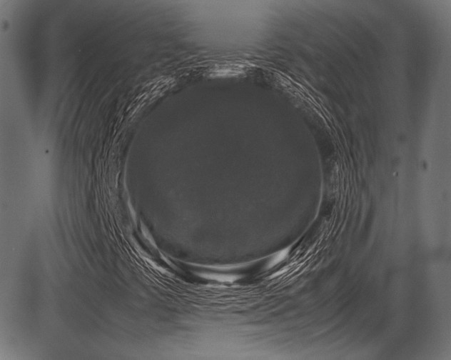 X0000087641441200705031458