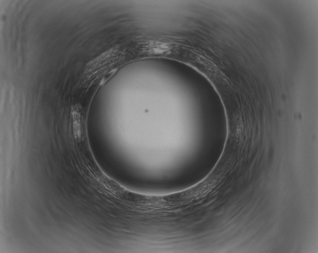 X0000087641442200705031458