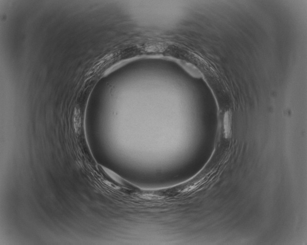 X0000087641443200705031458