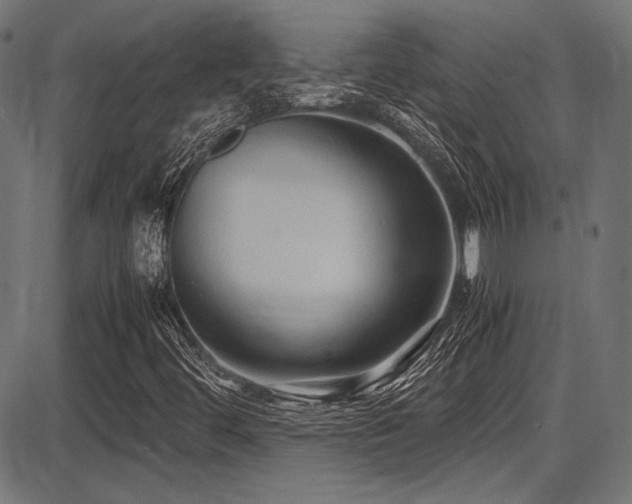 X0000087641444200705031458