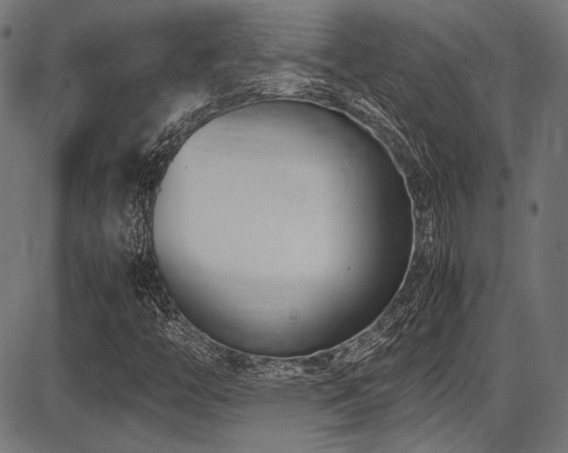 X0000087641446200705031458