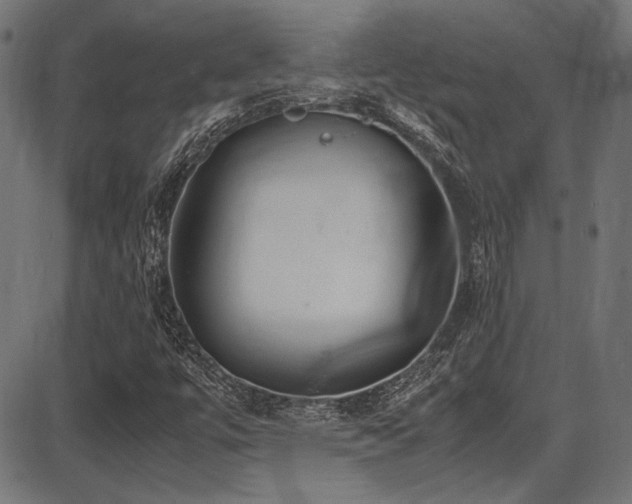 X0000087641447200705031458