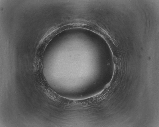 X0000087641448200705031458