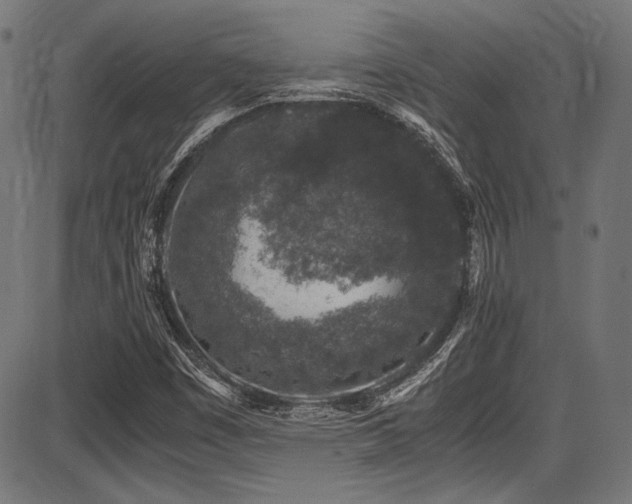 X0000087641449200705031458