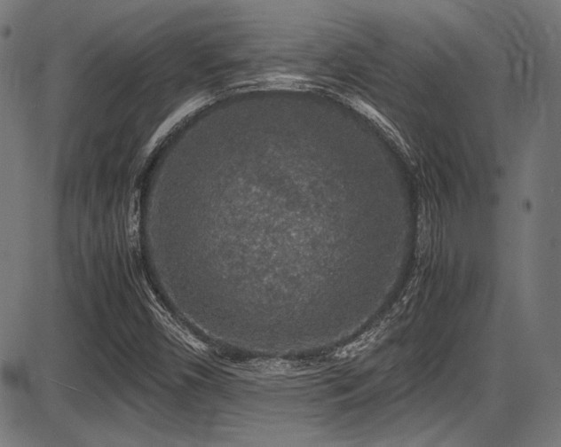 X0000087641450200705031458