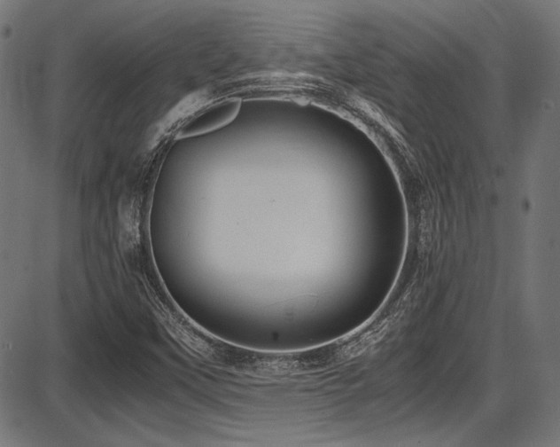 X0000087641451200705031458