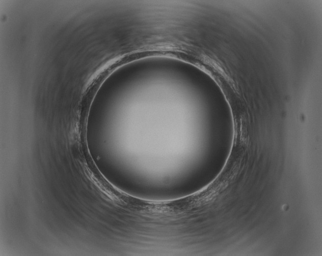 X0000087641452200705031458