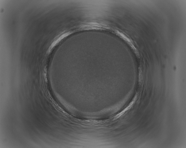 X0000087641453200705031458