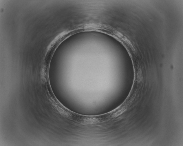 X0000087641454200705031458