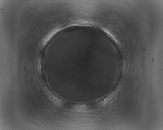 X0000087641455200705031458