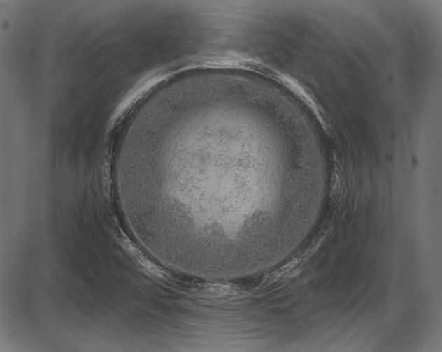 X0000087641456200705031458