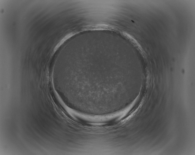 X0000087641457200705031458