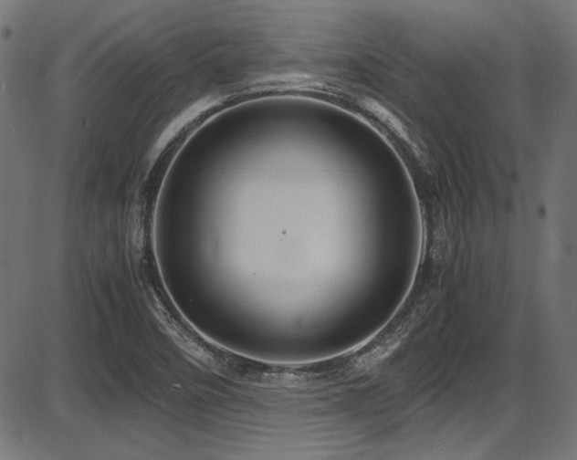 X0000087641458200705031458