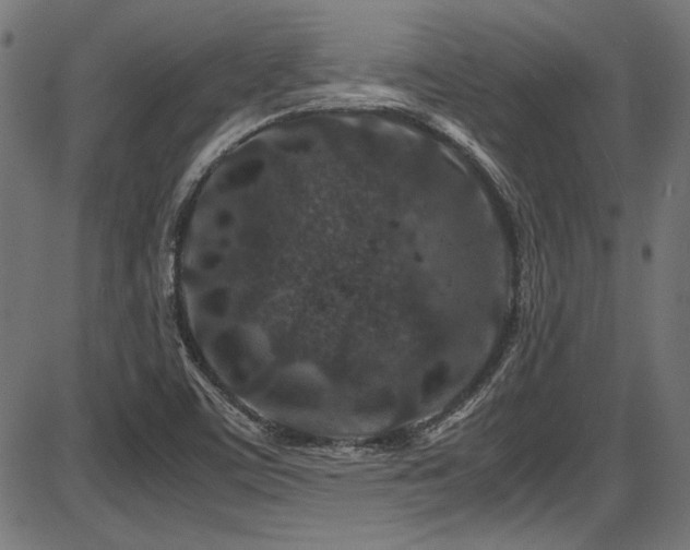 X0000087641459200705031458