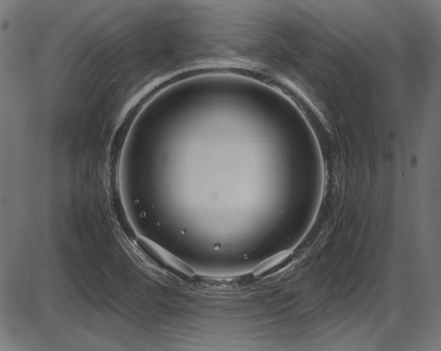 X0000087641460200705031458