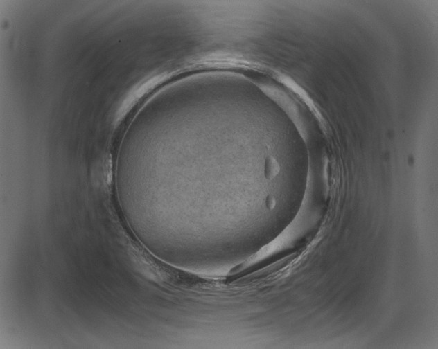 X0000087641461200705031458