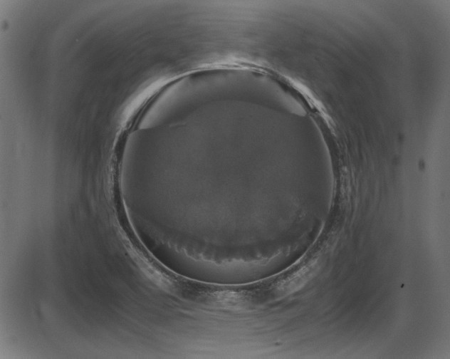 X0000087641463200705031458