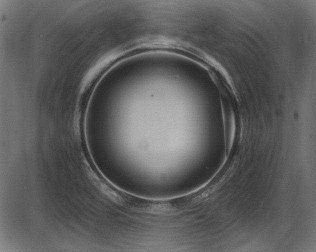 X0000087641464200705031458