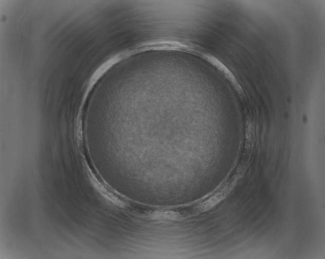 X0000087641466200705031458