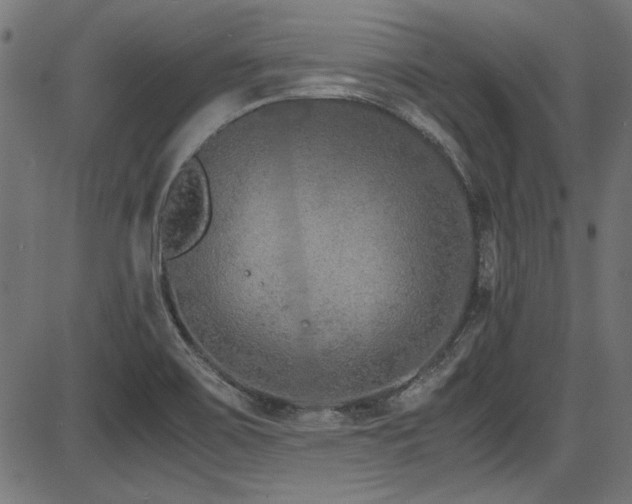 X0000087641467200705031458