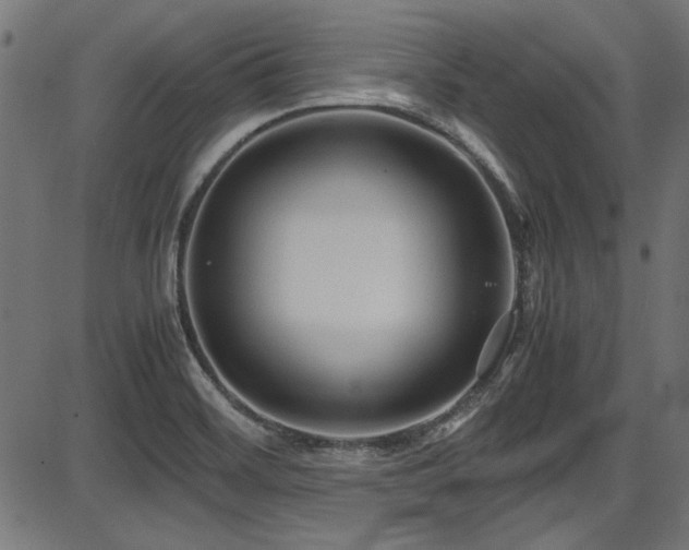 X0000087641468200705031458