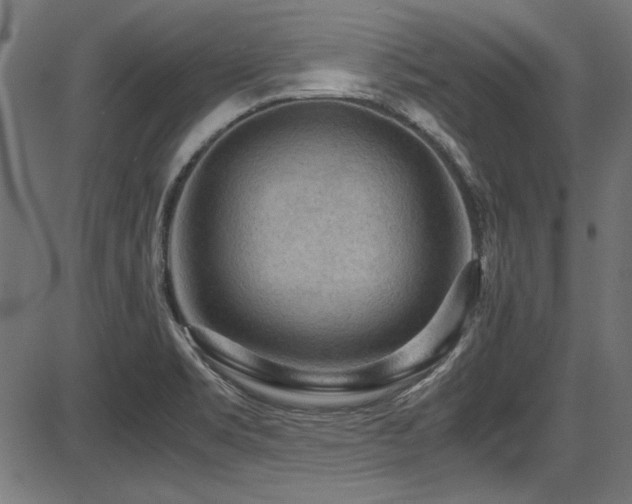 X0000087641469200705031458