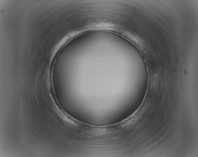 X0000087641470200705031458