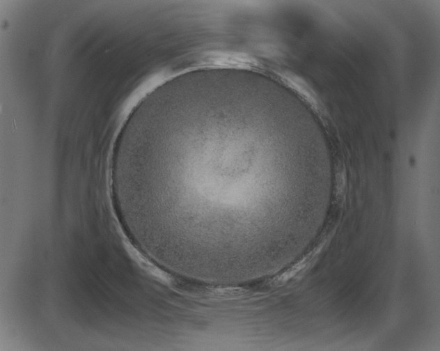 X0000087641471200705031458