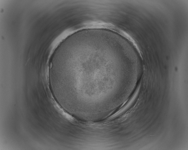 X0000087641472200705031458