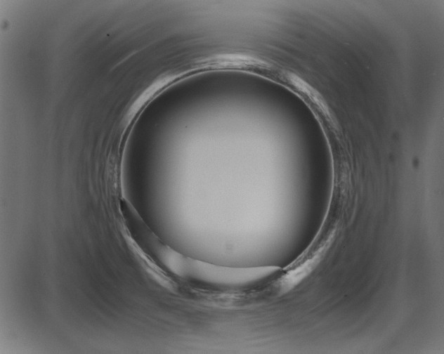 X0000087641473200705031458