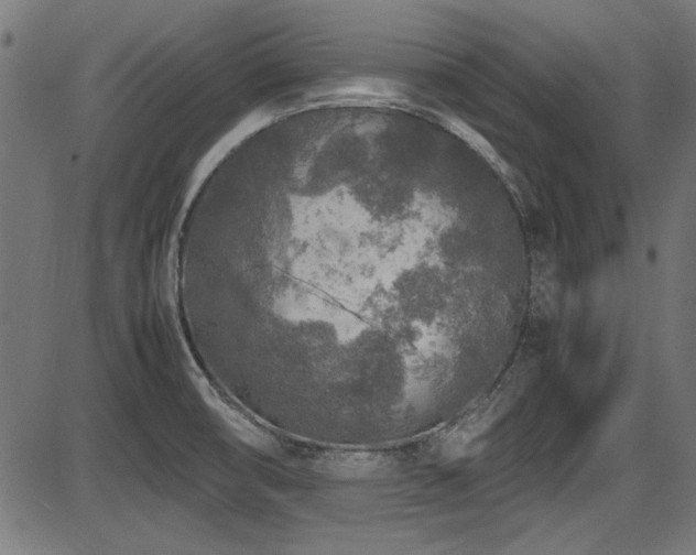 X0000087641474200705031458